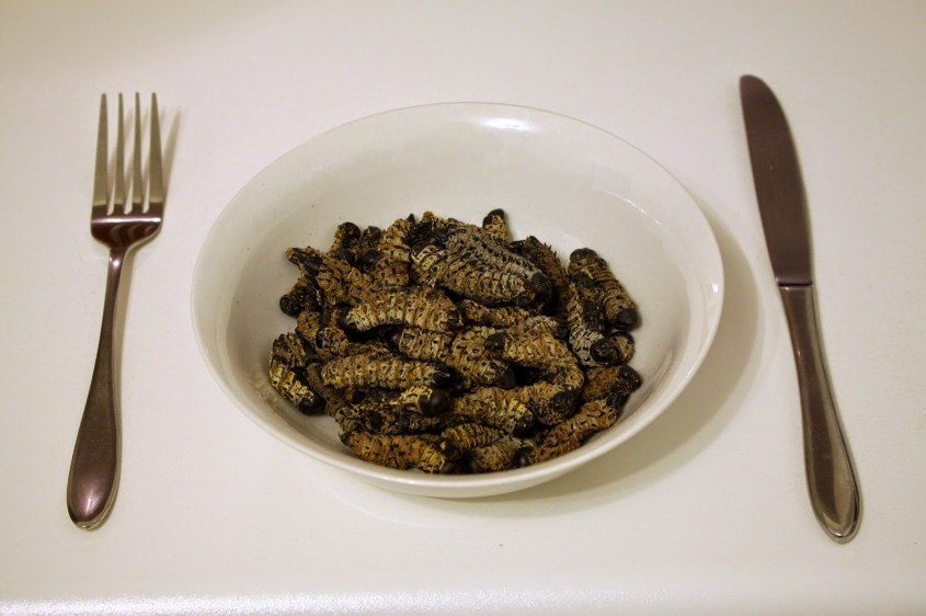 ジンバブエ　料理モパネワーム