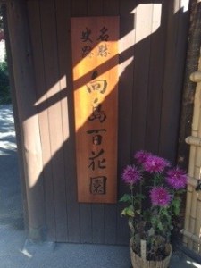 mukoujima hyakkaen-1