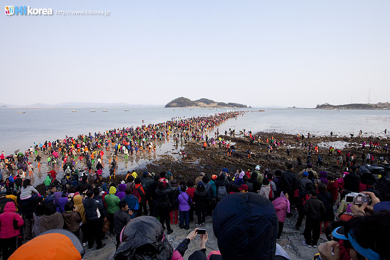 チンド　韓国ー２