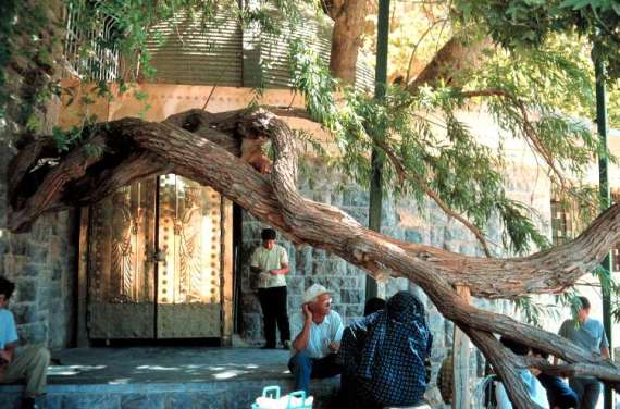 チャクチャク　イラン-3