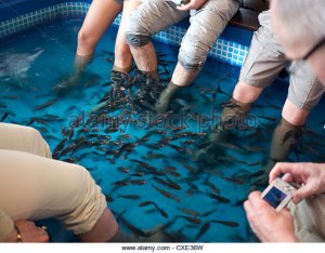 マレーシア　フットー１