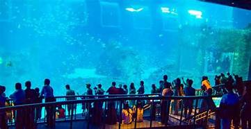 セントーサー水族館