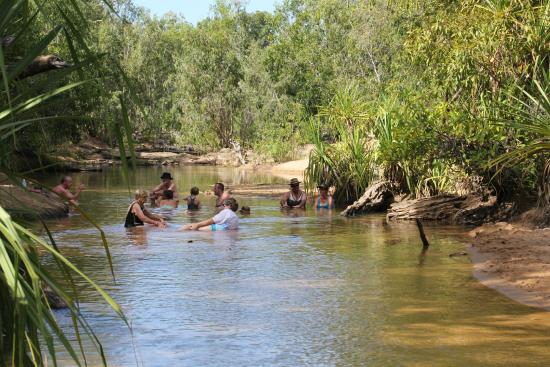 ダグラスホットスプリングー１