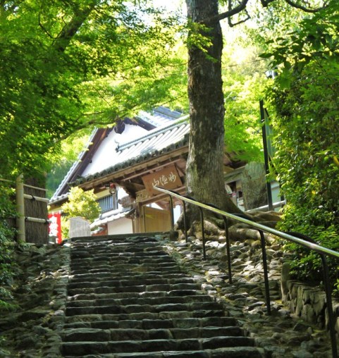 suzumushi-dera.jpg
